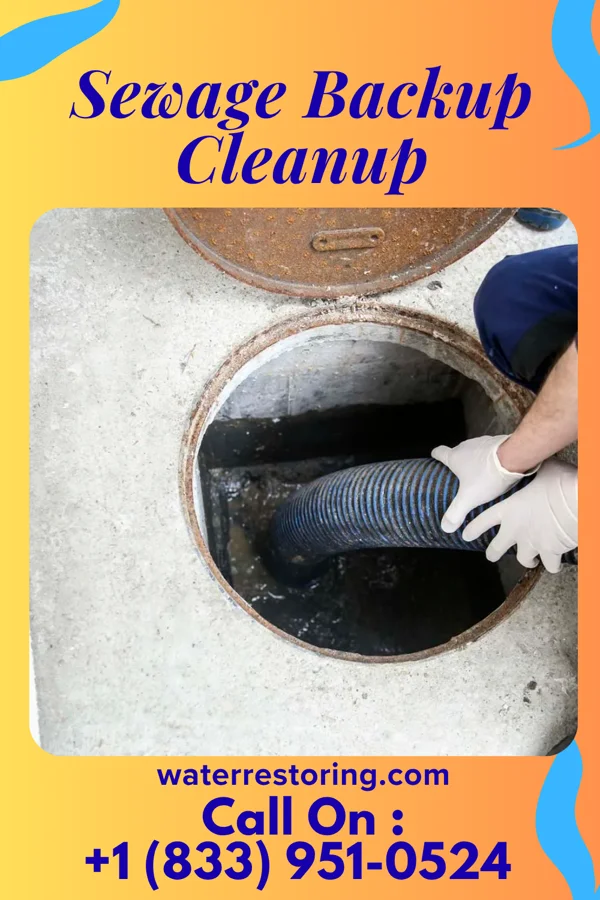 Sewage Backup Cleanup in Niagara Falls, NY