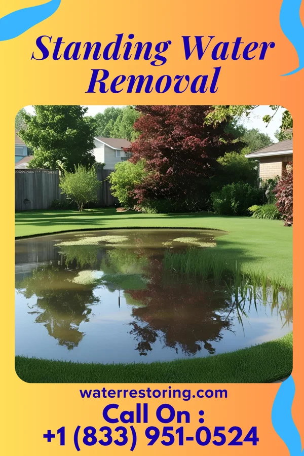Standing Water Removal in Niagara Falls, NY
